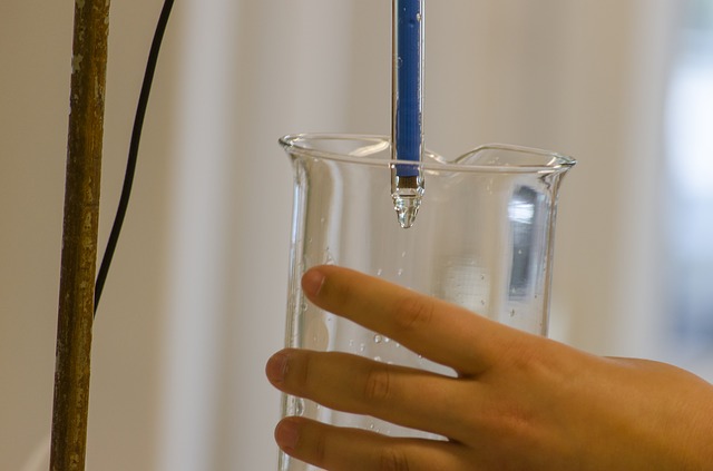 zapłodnienie in vitro