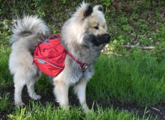 W jakim wieku można nosić dziecko w nosidełku?