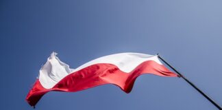 W jakim kraju dzieci w szkole uczą się języka polskiego?
