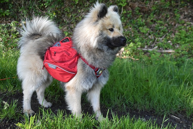 Jakie Nosidełko zamiast chusty? Jakie Nosidełko zamiast chusty?