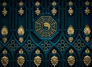 Czym można polać suchą karmę dla psa?