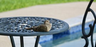 Czy dziecko po basenie trzeba kąpać?