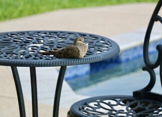 Czy dziecko po basenie trzeba kąpać?