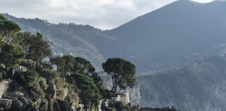 Ile kosztuje minuta Bolt hulajnogą?