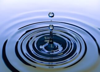 Gdzie kupić kółko do pływania?