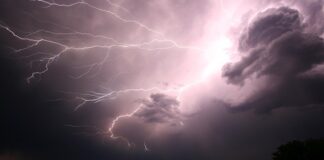 Co lepsze Bolt czy tier?