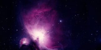 Jak wygląda nauka pływania?