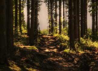 Ile czasu nagrywa kamera GoPro?