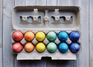 Ile jajek znosi jaskółki?