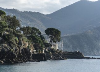 Ile kosztuje Mini Beryl?