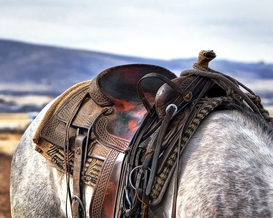Po co jest siodło?