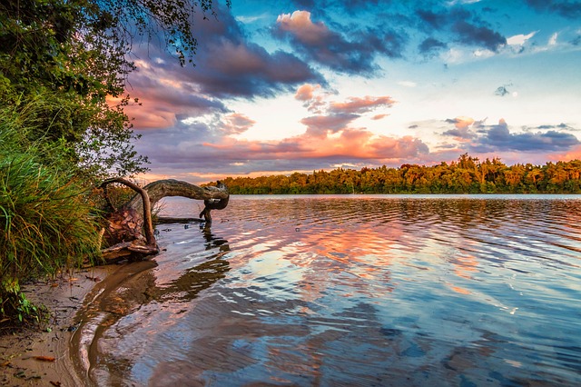 Co się stanie jak nie zapłacę za hulajnogę? Co się stanie jak nie zapłacę za hulajnogę?