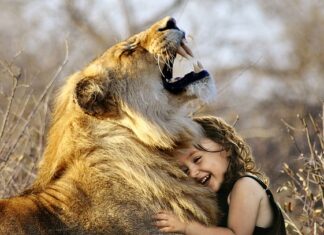 Co jest lepsze 1080i czy 1080p?