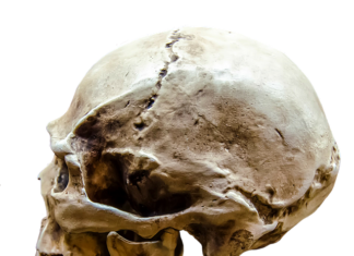 Jak działa GRI GRI?