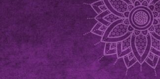 Jaki mandat za brak kapoka?