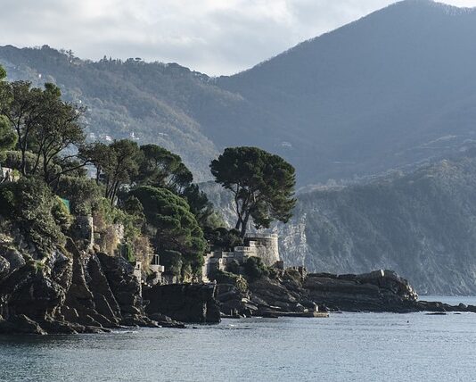 Ile kosztuje nowy AK-47?