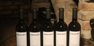 Kto rządzi w więzieniu?