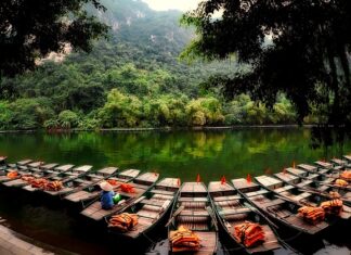 Jaką długość kamizelki?