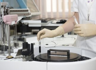 Czy służba celna ma broń?