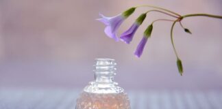 perfumy